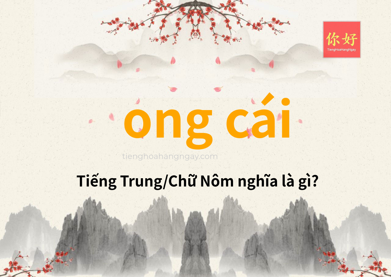 ong cái tiếng Trung là gì?